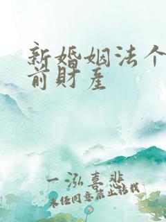 新婚姻法个人婚前财产