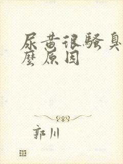 尿黄很骚臭是什么原因