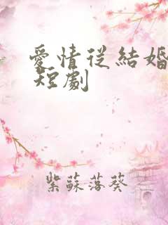 爱情从结婚开始 短剧