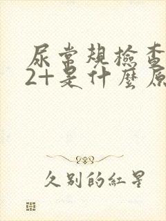 尿常规检查潜血2+是什么原因