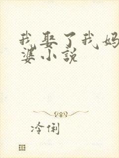 我娶了我妈当老婆小说