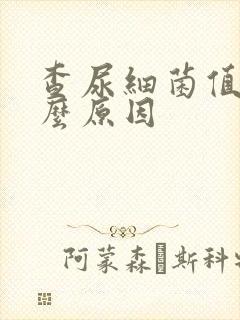 查尿细菌值高什么原因