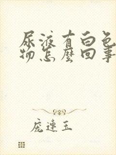 尿液有白色絮状物怎么回事