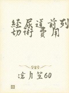 经尿道前列腺电切术 费用