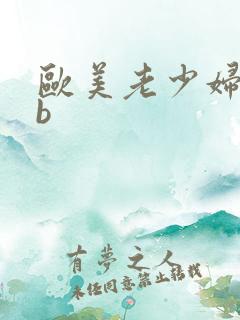 欧美老少妇bbb