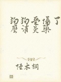 狗狗受伤了用什么消炎药