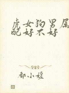 虎女狗男属相婚配好不好