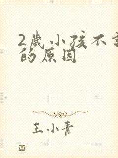 2岁小孩不说话的原因