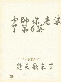 少帅你老婆又跑了第6集