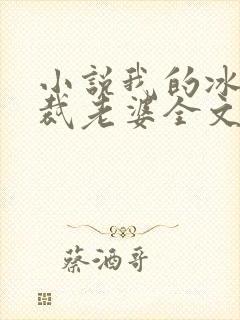 小说我的冰山总裁老婆全文阅读