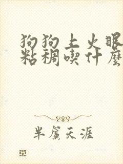 狗狗上火眼屎黄粘稠吃什么药