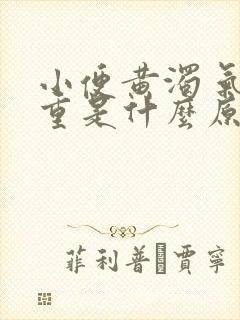 小便黄浊 气味重是什么原因