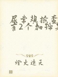 尿常规检查隐血有2个加号是怎么回事