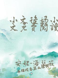 小文后妈小说全文免费阅读最新章节