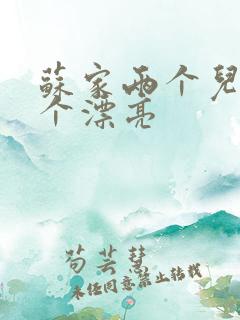 苏家两个儿媳哪个漂亮