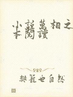 小说万相之王全本阅读