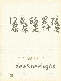 12岁的男孩子尿床是什么原因