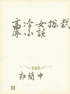 高冷女总裁的屈辱小说