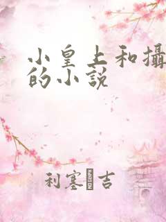 小皇上和摄政王的小说