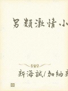 另类激情小说区