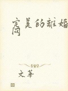 完美的离婚韩剧网