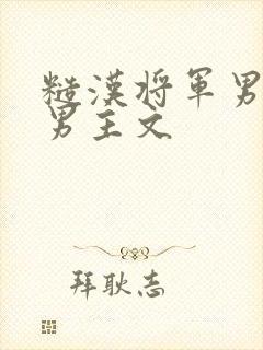 糙汉将军男主双男主文