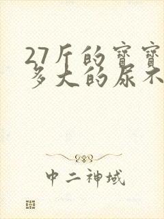 27斤的宝宝穿多大的尿不湿