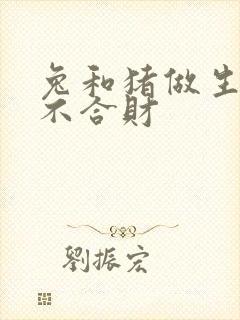 兔和猪做生意合不合财