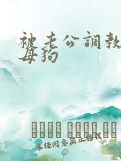 被老公调教成小母狗