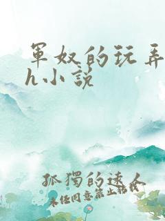 军奴的玩弄调教h小说