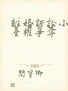 离婚诉讼小孩抚养权争夺