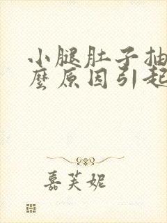 小腿肚子抽筋什么原因引起的