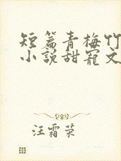 短篇青梅竹马的小说甜宠文