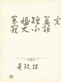 军婚短篇完结甜宠文小说