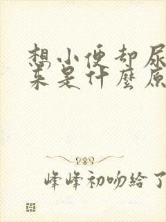 想小便却尿不出来是什么原因