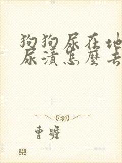 狗狗尿在地上的尿渍怎么去除