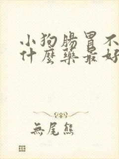 小狗肠胃不好吃什么药最好