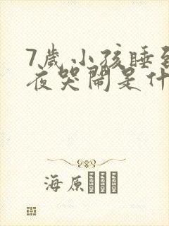 7岁小孩睡到半夜哭闹是什么原因