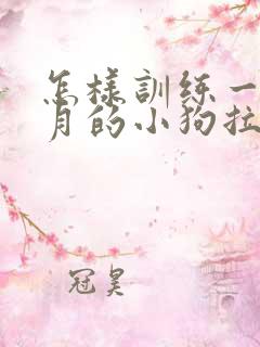 怎样训练一个多月的小狗拉屎拉尿