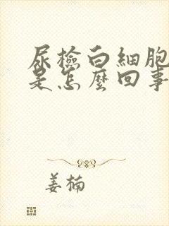 尿检白细胞78是怎么回事