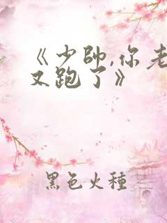 《少帅,你老婆又跑了》