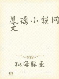 凤瑶小说网高辣文