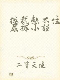 总裁憋不住穿纸尿裤小说