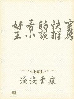 好看的快穿双男主小说推荐