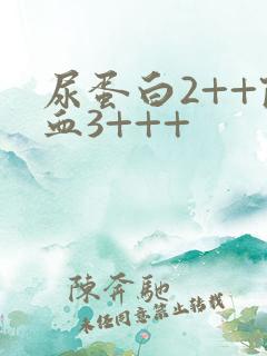 尿蛋白2++隐血3+++