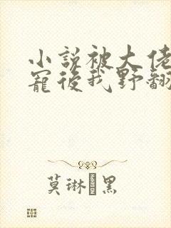 小说被大佬们团宠后我野翻了全文在线阅读