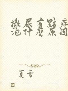 撒尿有点疼有泡泡什么原因