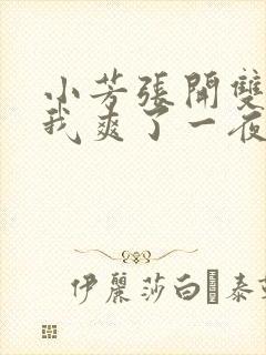 小芳张开双腿让我爽了一夜