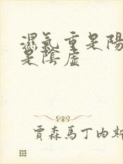 湿气重是阳虚还是阴虚