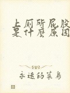 上厕所屁股出血是什么原因